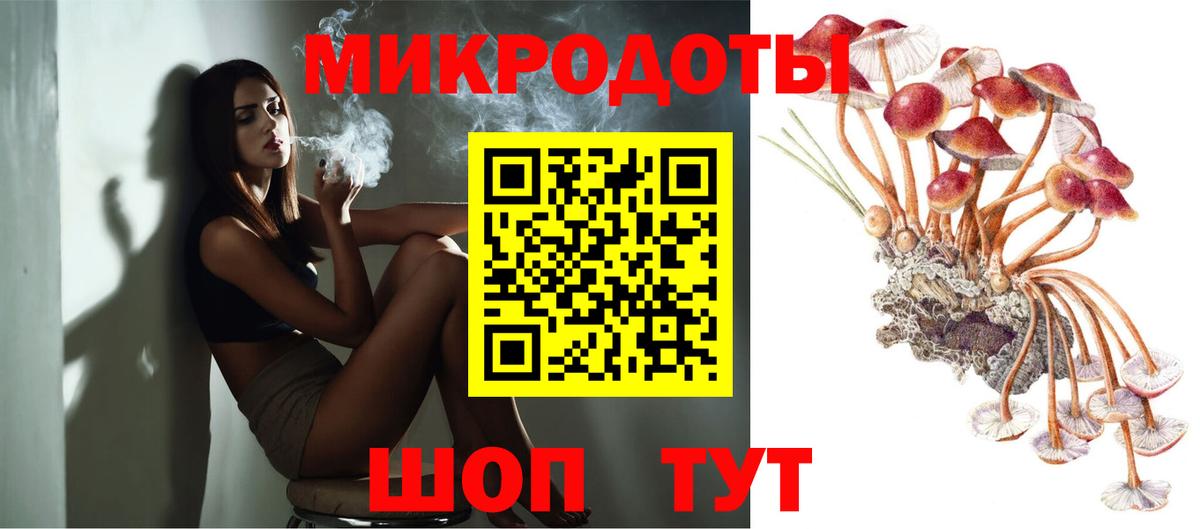 Галлюциногенные грибы Cubensis Кропоткин